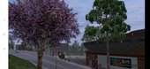 INS&X VEGETATION 2.0 for Mobile