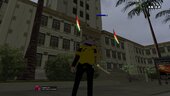 Kurdish Flag On Cityhall