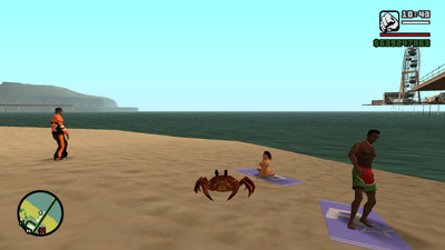 Beach Crabs & Lobsters Wildlife Animals Skin Pack