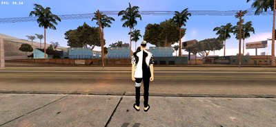 Black And White Bird Wing Skin
