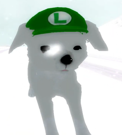 Curly (Fernanfloo's dog)