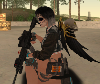 HK416 KAC ACOG